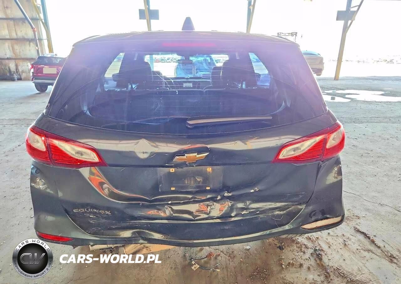 2018 Chevrolet Equinox Ls VIN:3GNAXHEV7JL100787 - 6