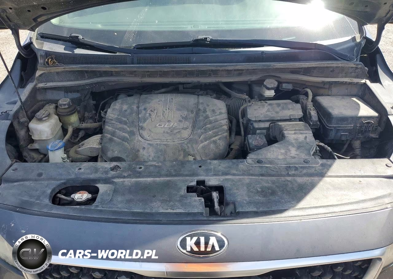 2016 Kia Sedona Lx VIN:KNDMB5C19G6100067 - 12