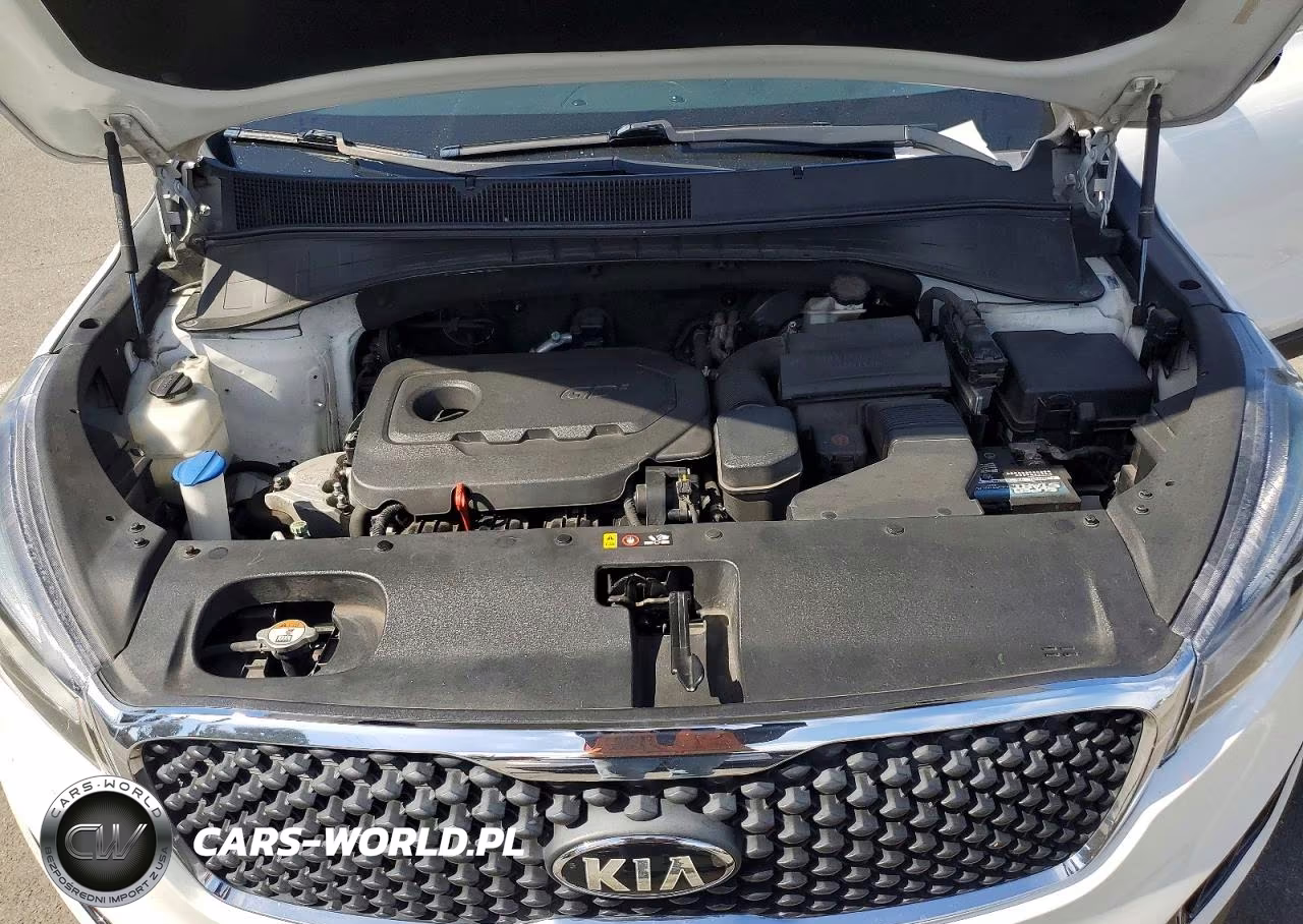 2016 Kia Sorento Lx VIN:5XYPG4A3XGG173006 - 12