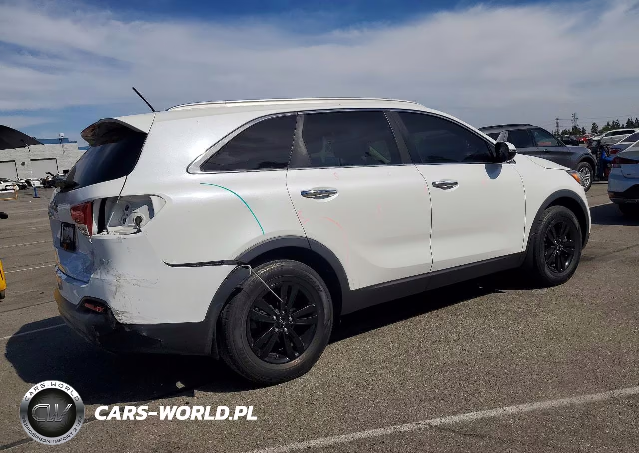 2016 Kia Sorento Lx VIN:5XYPG4A3XGG173006 - 3