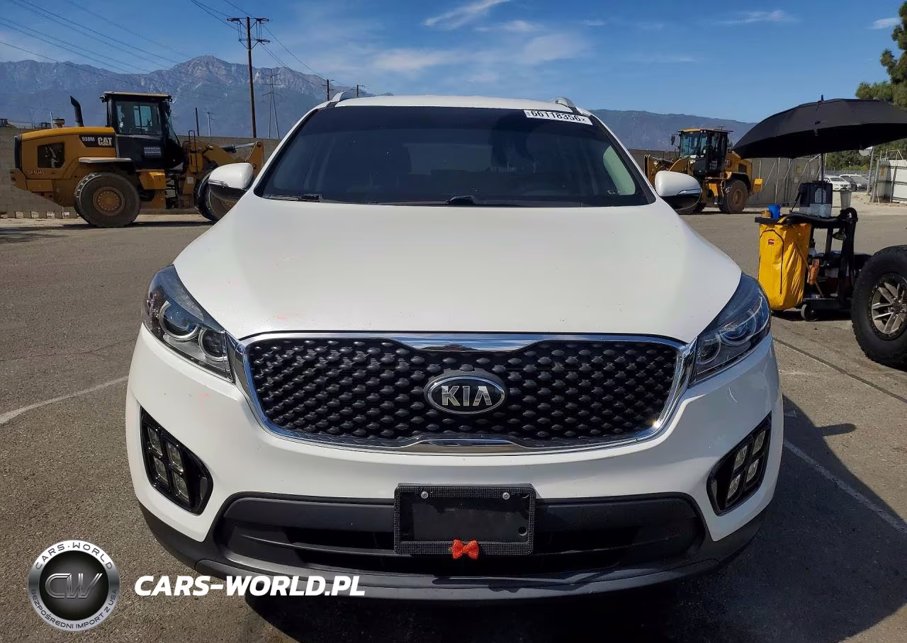 2016 Kia Sorento Lx VIN:5XYPG4A3XGG173006 - 5