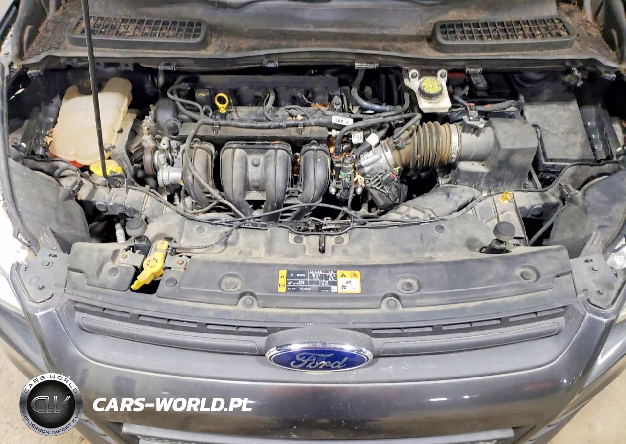 2016 Ford Escape S VIN:1FMCU0F7XGUB72122 - 12