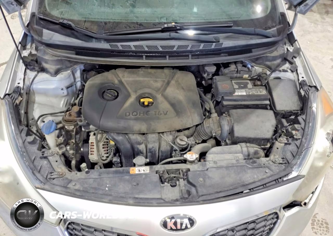 2015 Kia Forte Lx VIN:KNAFX4A66F5353643 - 11