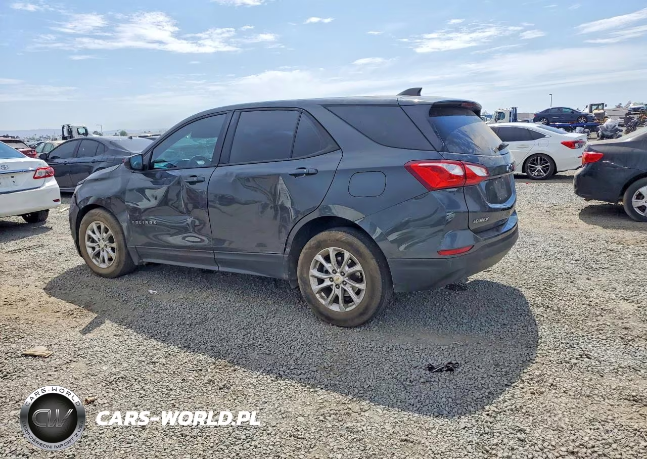 2019 Chevrolet Equinox Ls VIN:2GNAXHEV3K6196214 - 2
