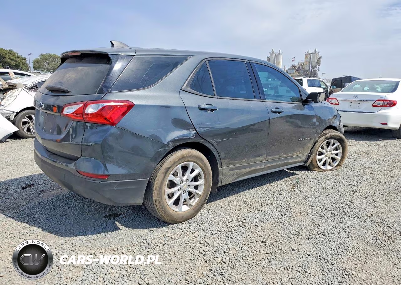 2019 Chevrolet Equinox Ls VIN:2GNAXHEV3K6196214 - 3