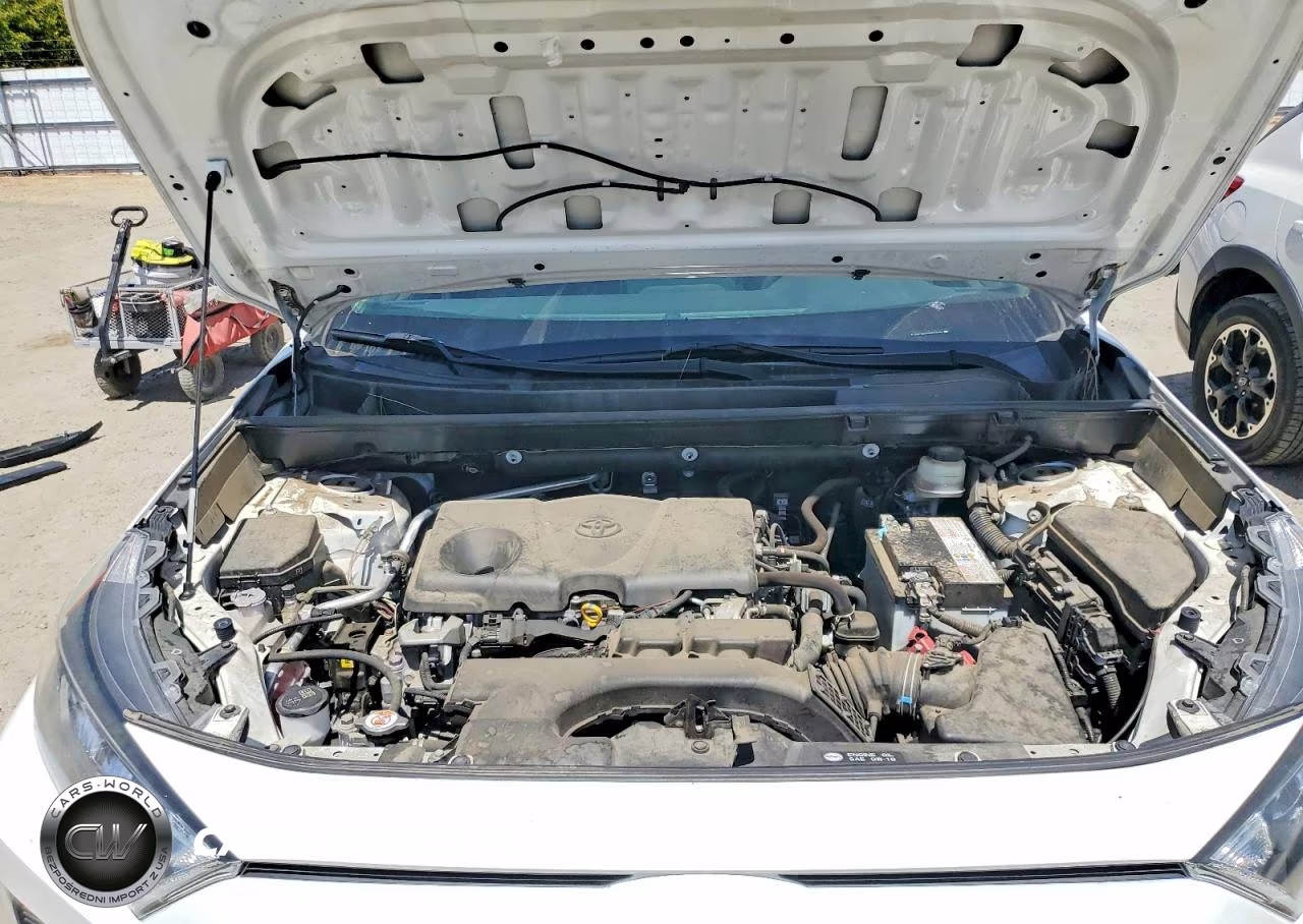 2019 Toyota Rav4 Le VIN:JTMK1RFV5KD009947 - 12