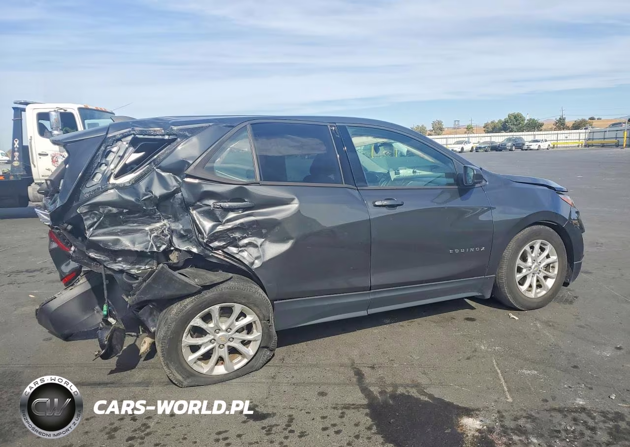 2019 Chevrolet Equinox Ls VIN:2GNAXHEV6K6292810 - 3
