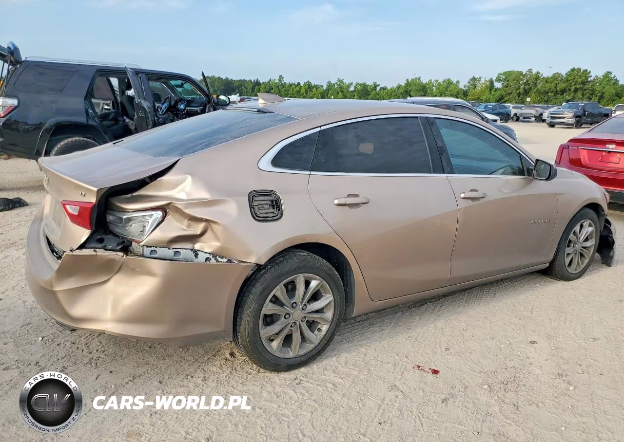 2019 Chevrolet Malibu Lt VIN:1G1ZD5ST2KF110685 - 3