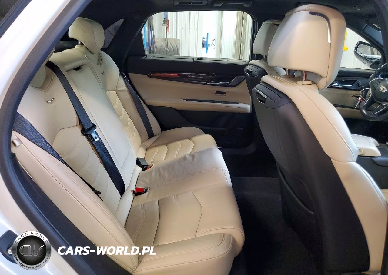 2020 Cadillac Ct6 Luxury Csav VIN:1G6KE5RS0LU110106 - 10