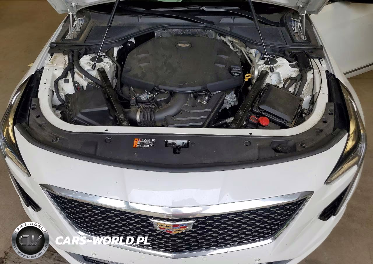 2020 Cadillac Ct6 Luxury Csav VIN:1G6KE5RS0LU110106 - 11