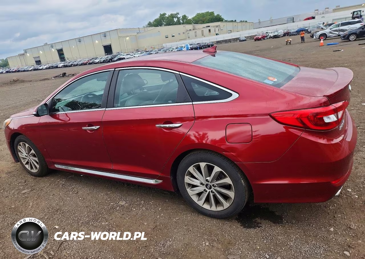 2016 Hyundai Sonata Sport VIN:5NPE34AF8GH426829 - 2