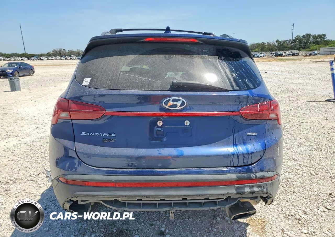 2023 Hyundai Santa Fe Xrt VIN:5NMS6DAJ3PH580814 - 6