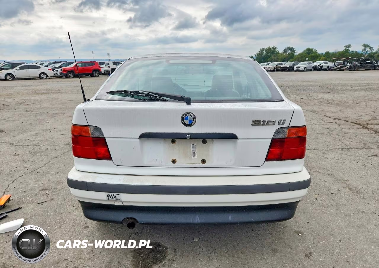 1995 BMW 318 Ti VIN:WBACG5328SAM53666 - 6
