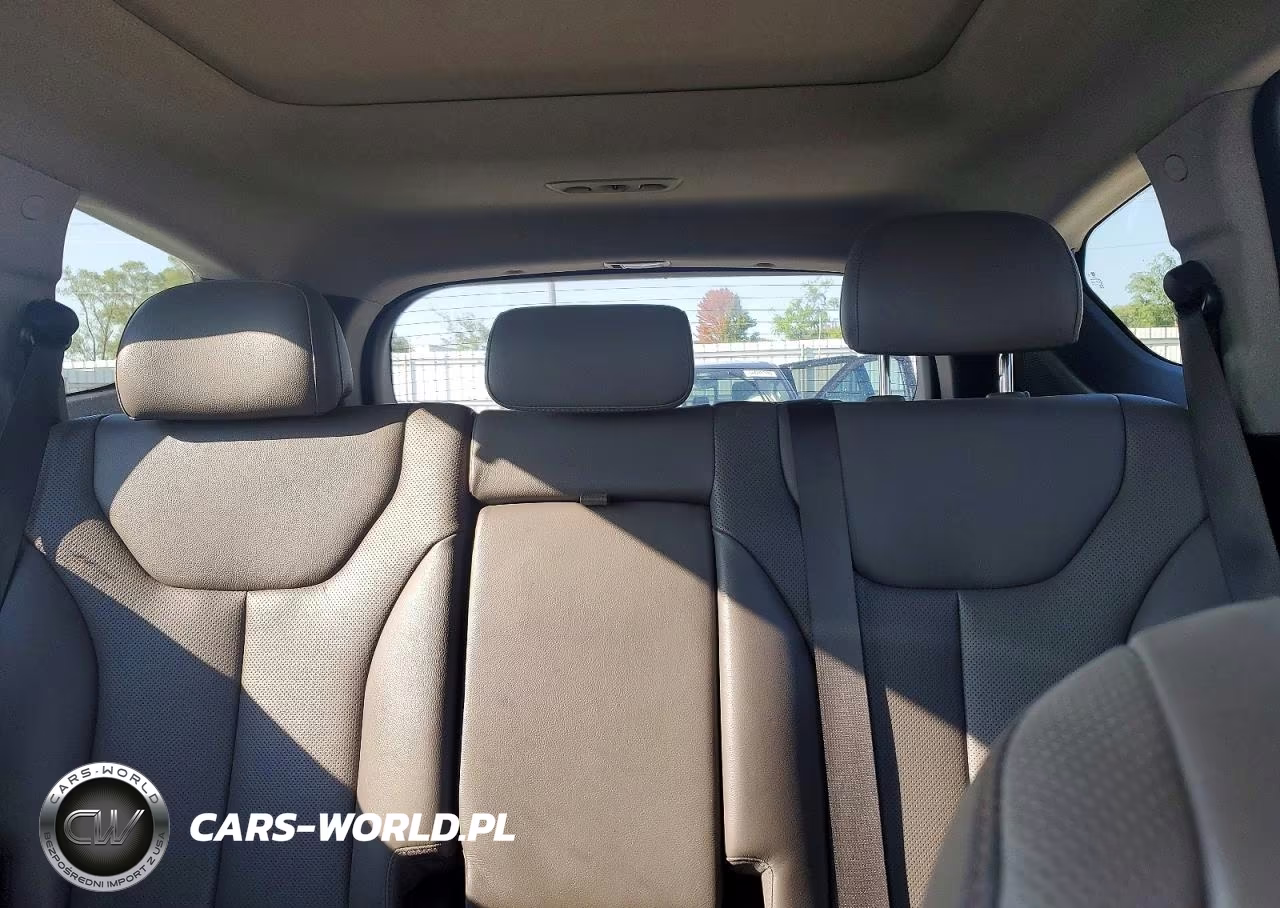 2020 Hyundai Santa Fe Limited VIN:5NMS5CAD6LH306203 - 10