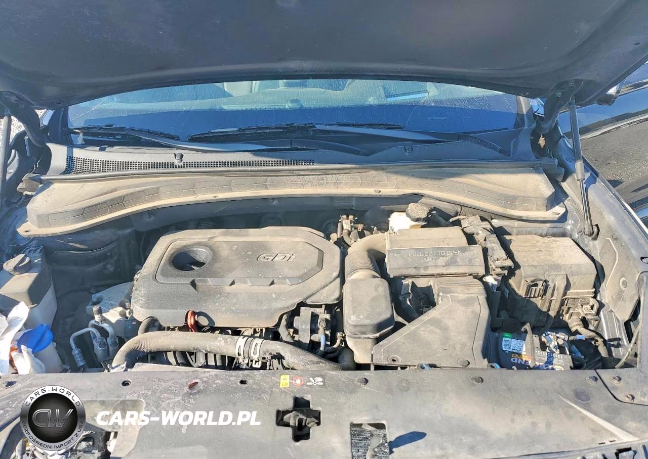 2020 Hyundai Santa Fe Limited VIN:5NMS5CAD6LH306203 - 12