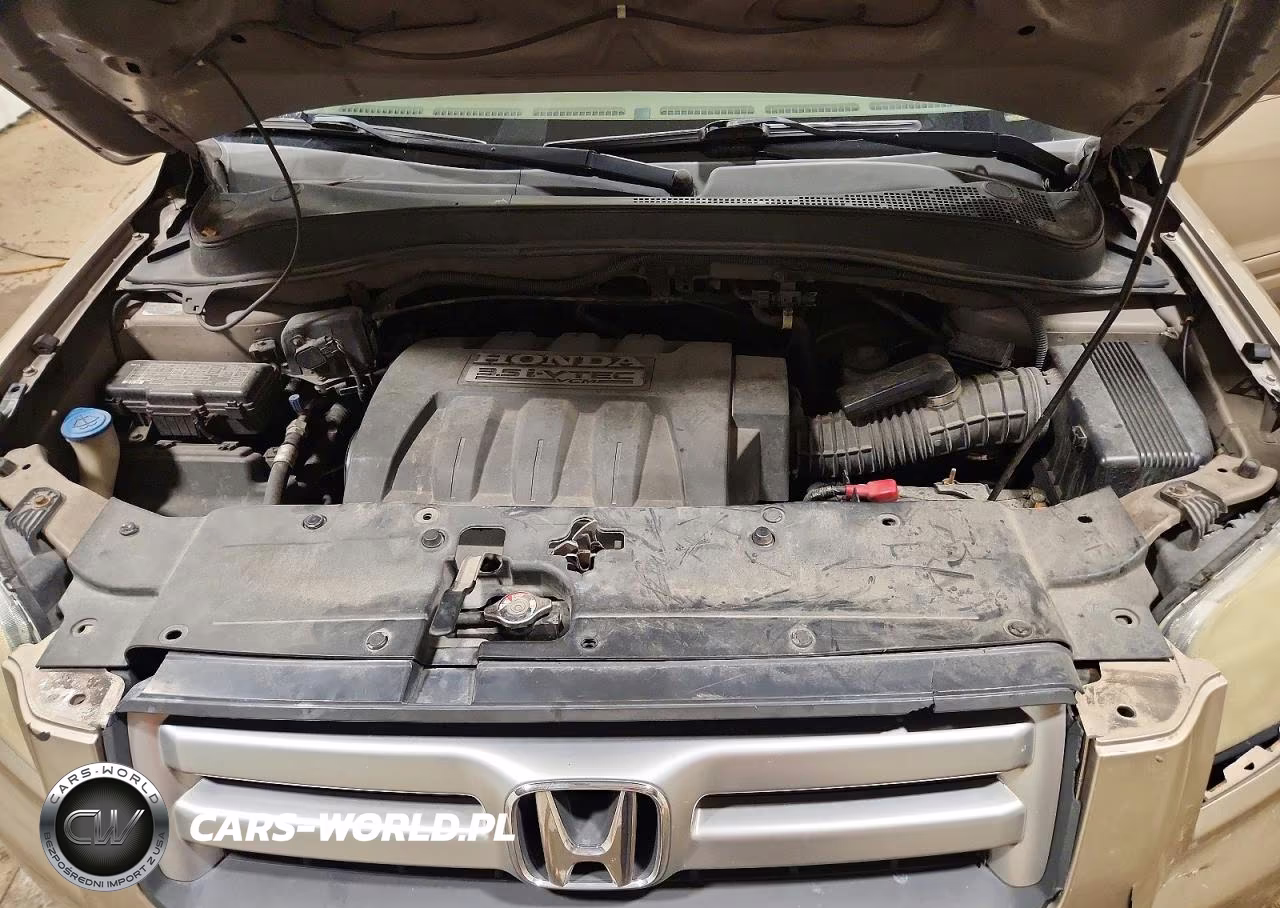 2006 Honda Pilot Ex VIN:5FNYF28456B007413 - 11