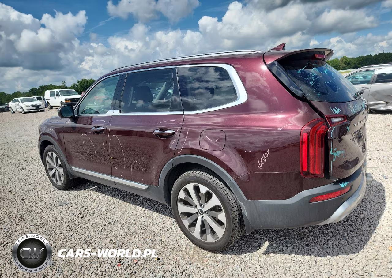 2020 Kia Telluride S VIN:5XYP64HC4LG048800 - 2