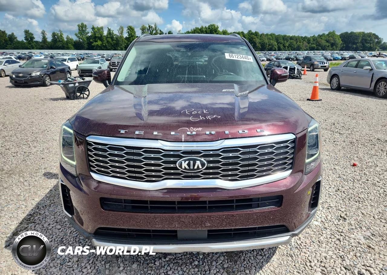2020 Kia Telluride S VIN:5XYP64HC4LG048800 - 5