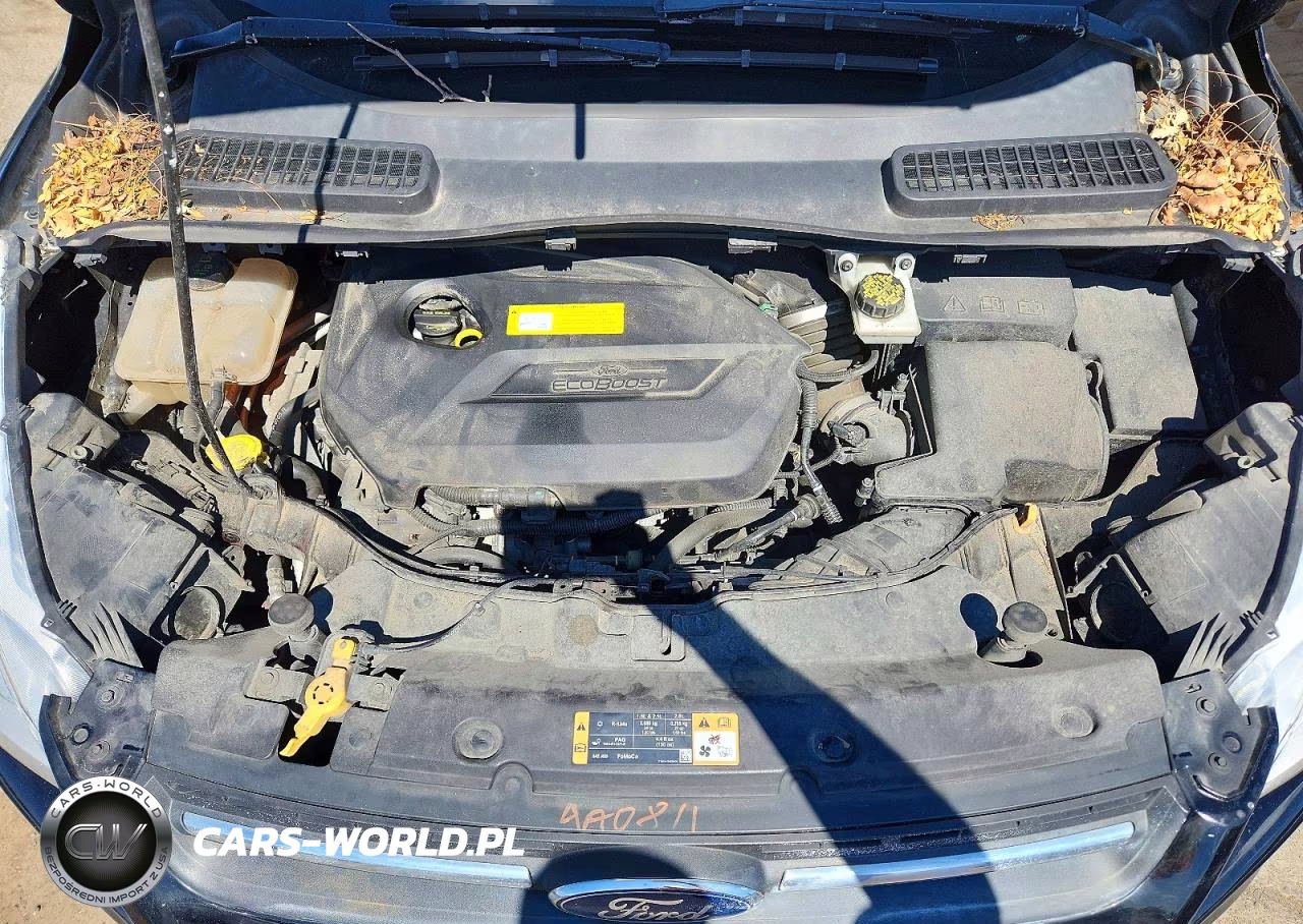 2016 Ford Escape Se VIN:1FMCU0GX1GUC55663 - 12