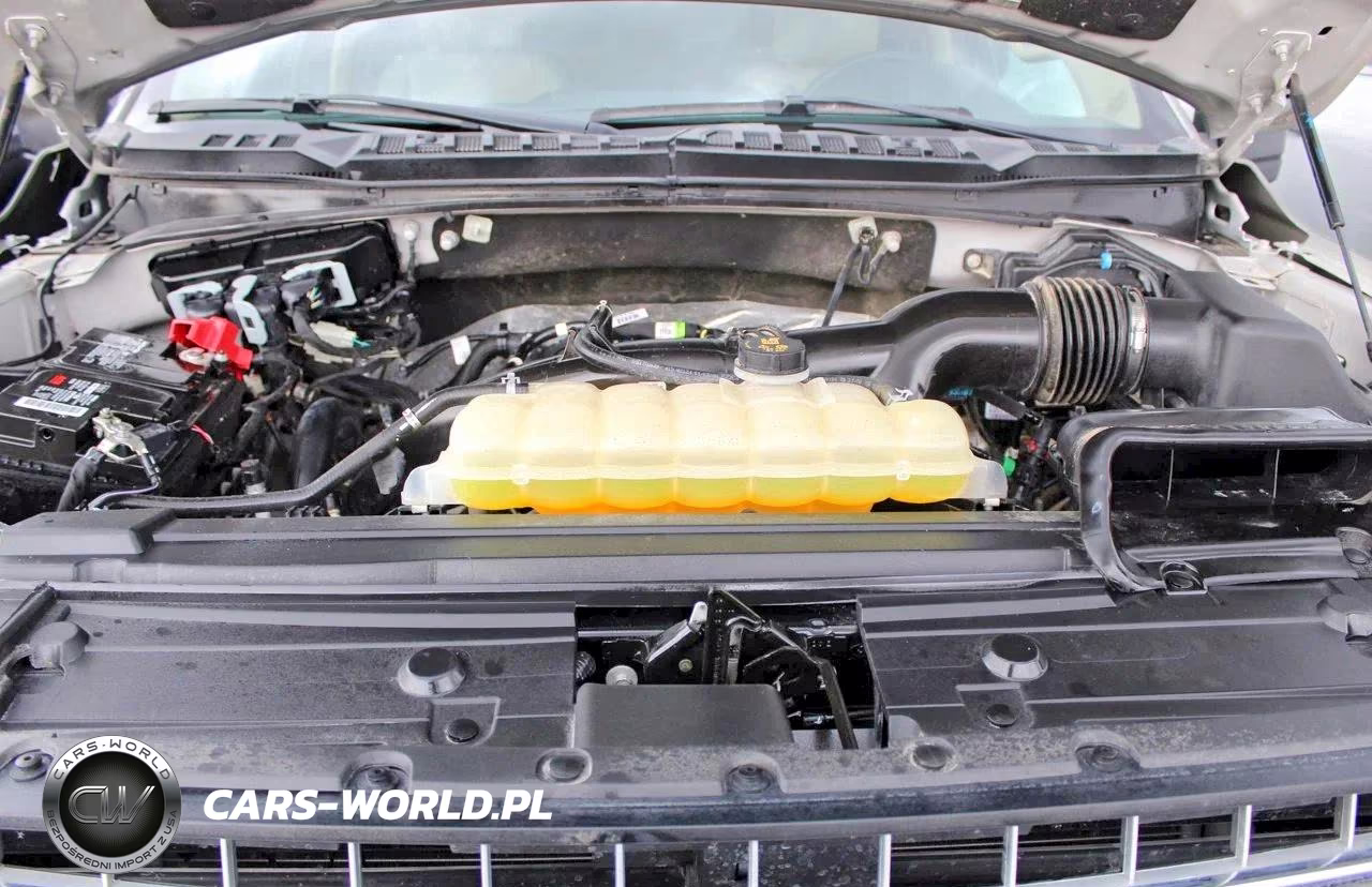 2020 Ford F150 Supercrew VIN:1FTEW1EP9LKD11323 - 7