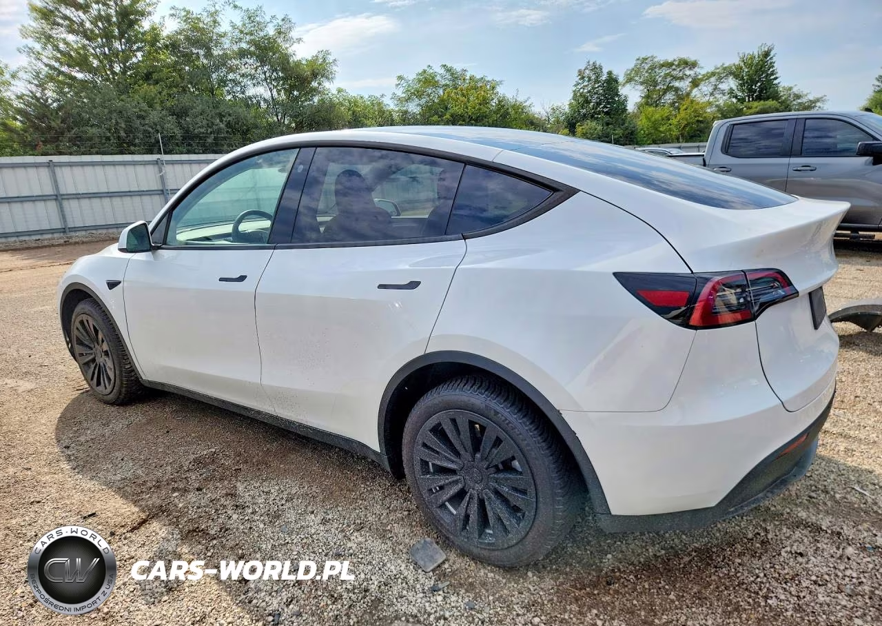 2023 Tesla Model Y VIN:7SAYGDEE8PA107562 - 2