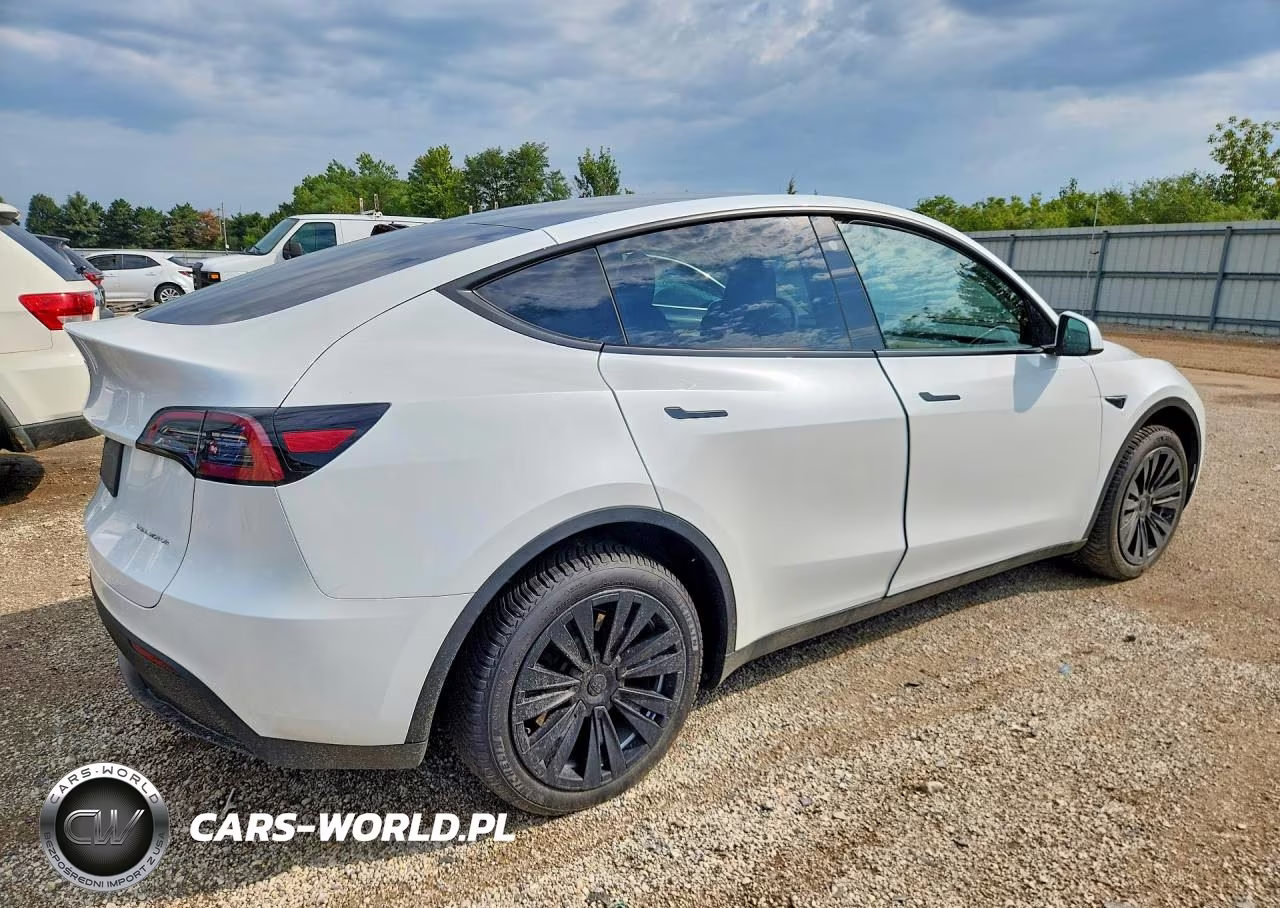 2023 Tesla Model Y VIN:7SAYGDEE8PA107562 - 3