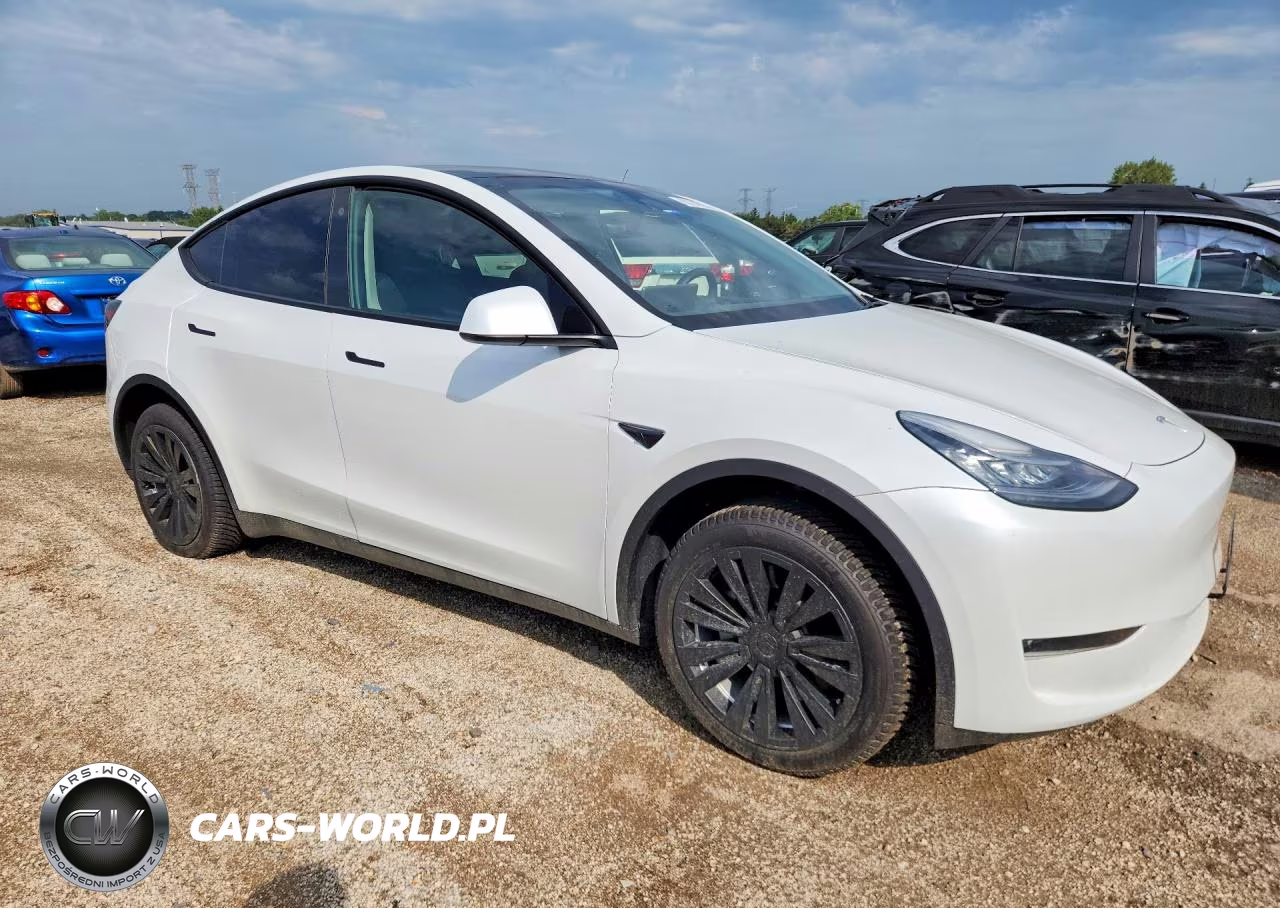 2023 Tesla Model Y VIN:7SAYGDEE8PA107562 - 4