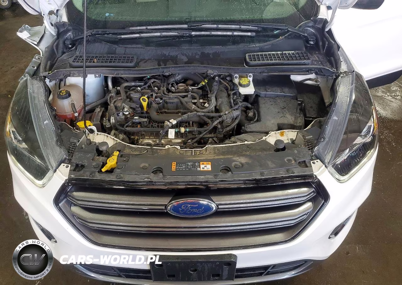 2019 Ford Escape Sel VIN:1FMCU9HDXKUC56893 - 11