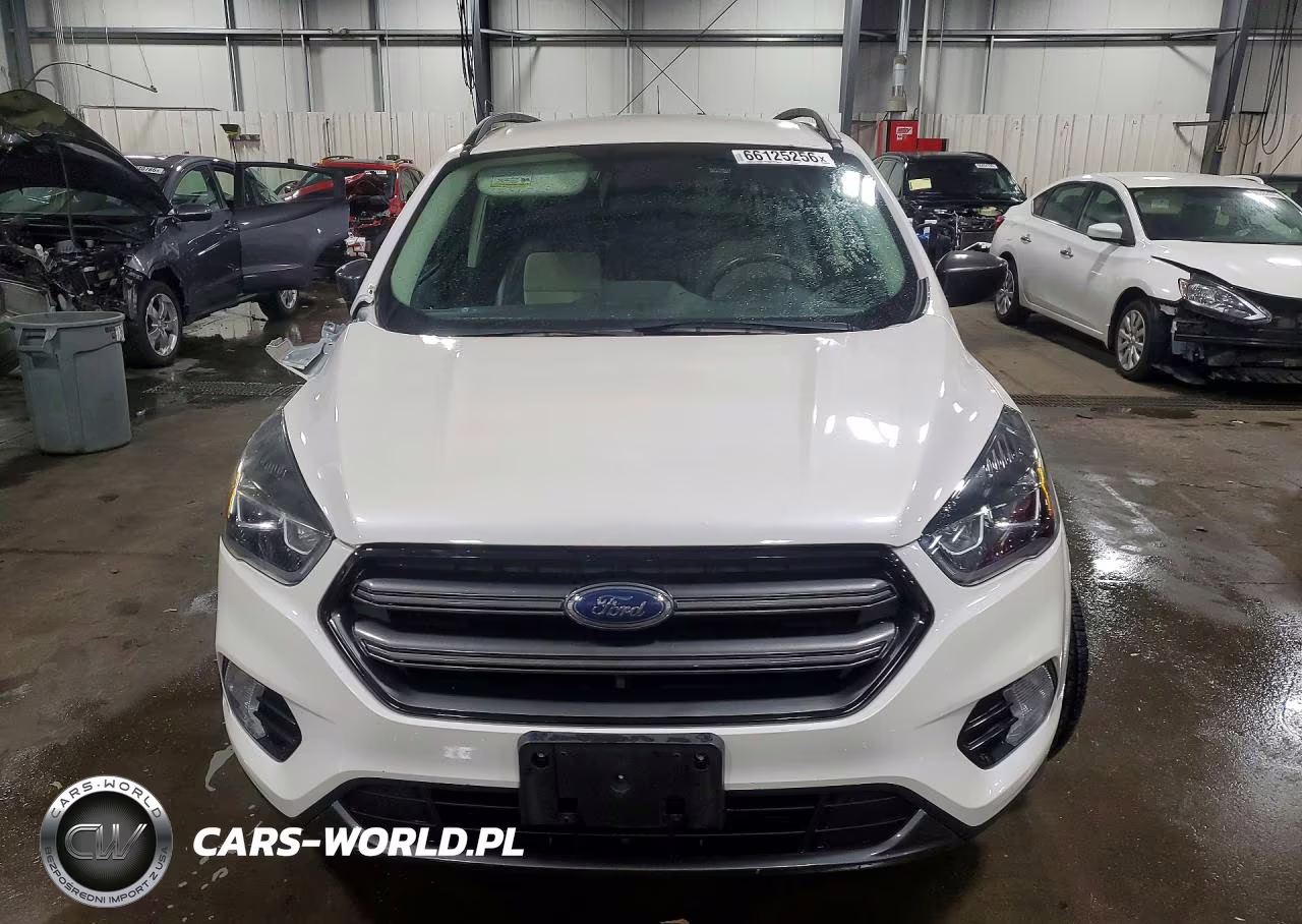 2019 Ford Escape Sel VIN:1FMCU9HDXKUC56893 - 5