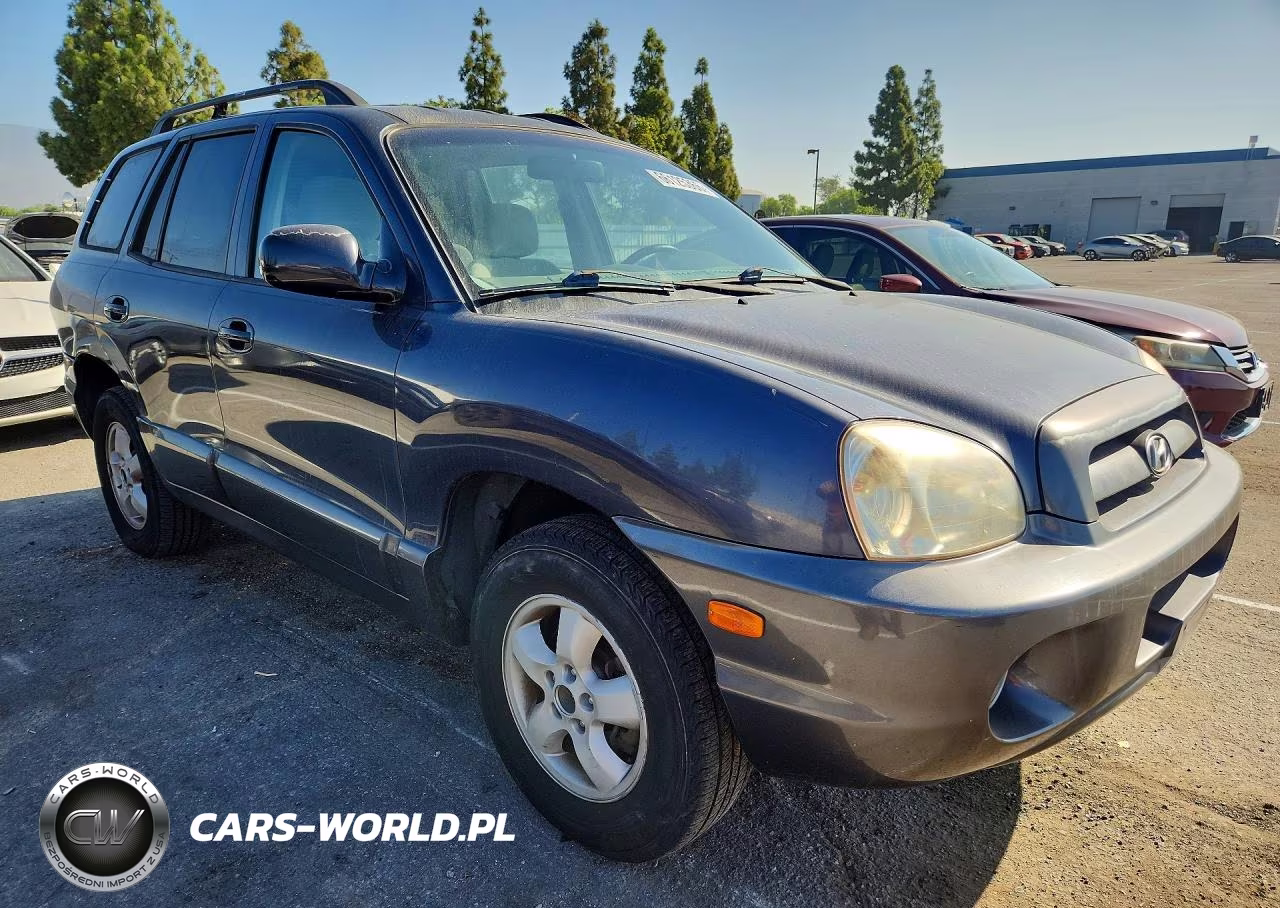 2005 Hyundai Santa Fe Gls VIN:KM8SC13D05U874557 - 4
