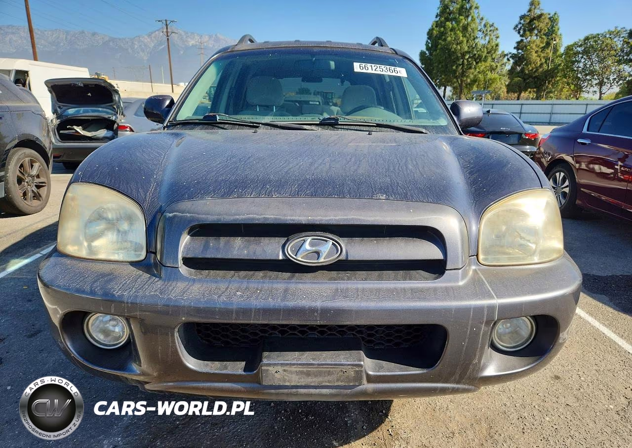 2005 Hyundai Santa Fe Gls VIN:KM8SC13D05U874557 - 5