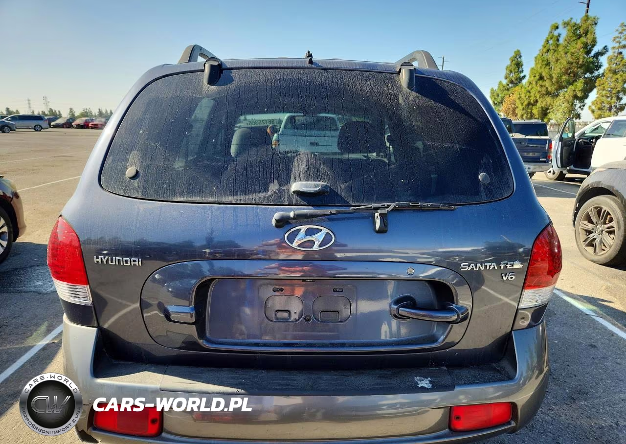 2005 Hyundai Santa Fe Gls VIN:KM8SC13D05U874557 - 6