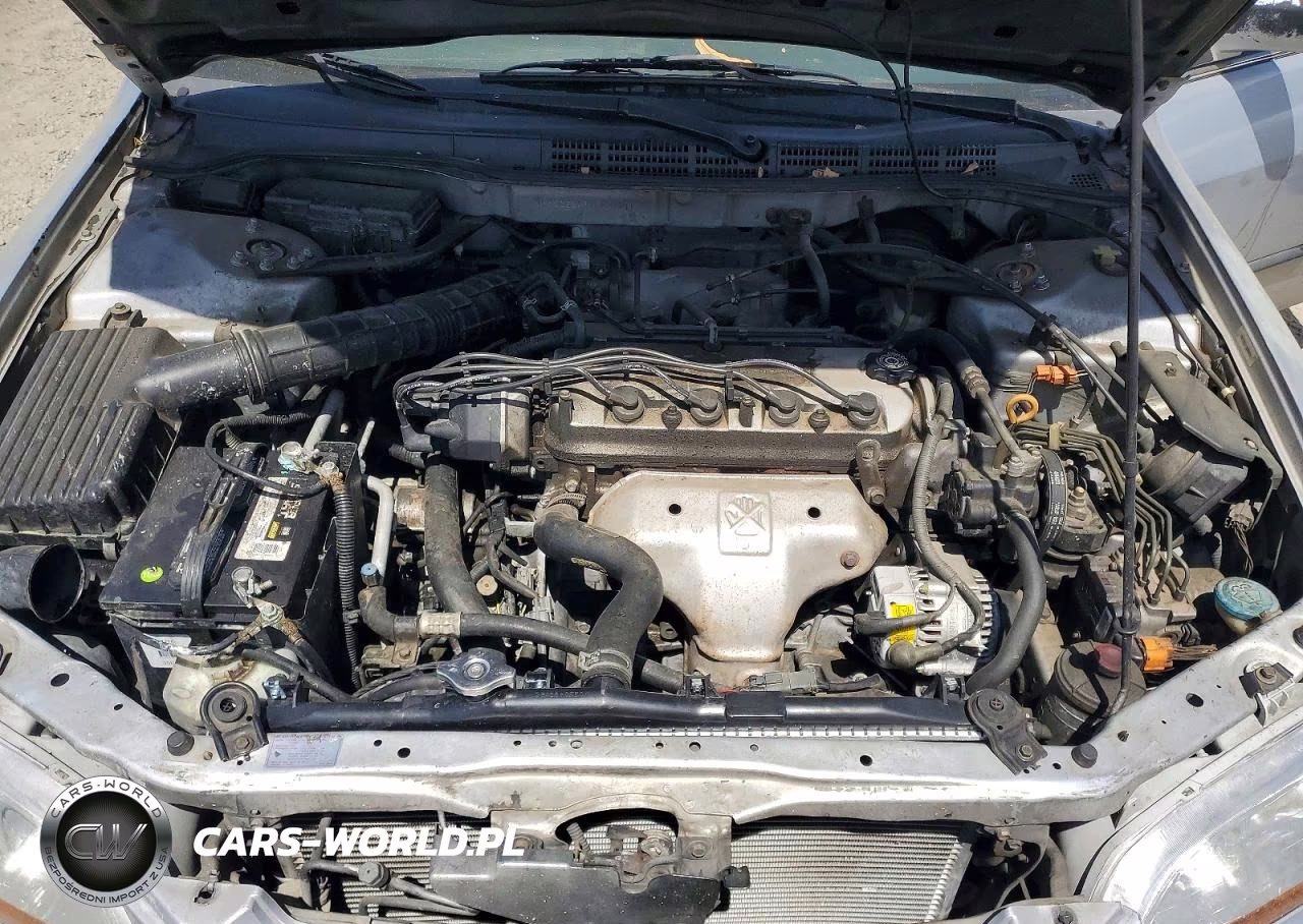 1998 Honda Accord Lx VIN:1HGCG5646WA188141 - 11