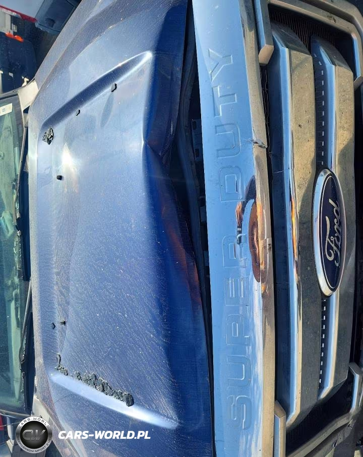 2011 Ford F250 Super Duty VIN:1FT7X2A66BEB95343 - 11