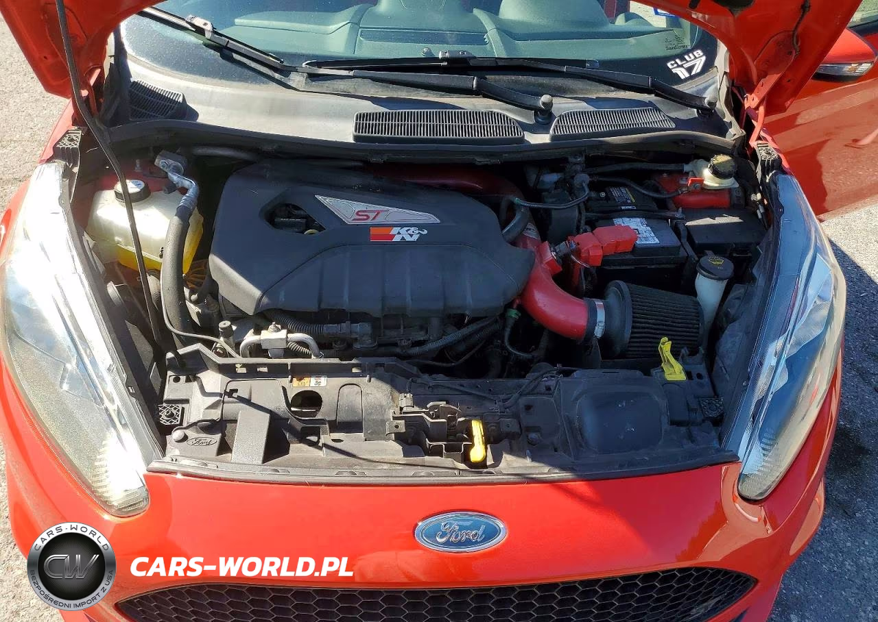 2015 Ford Fiesta St VIN:3FADP4GX9FM195678 - 12