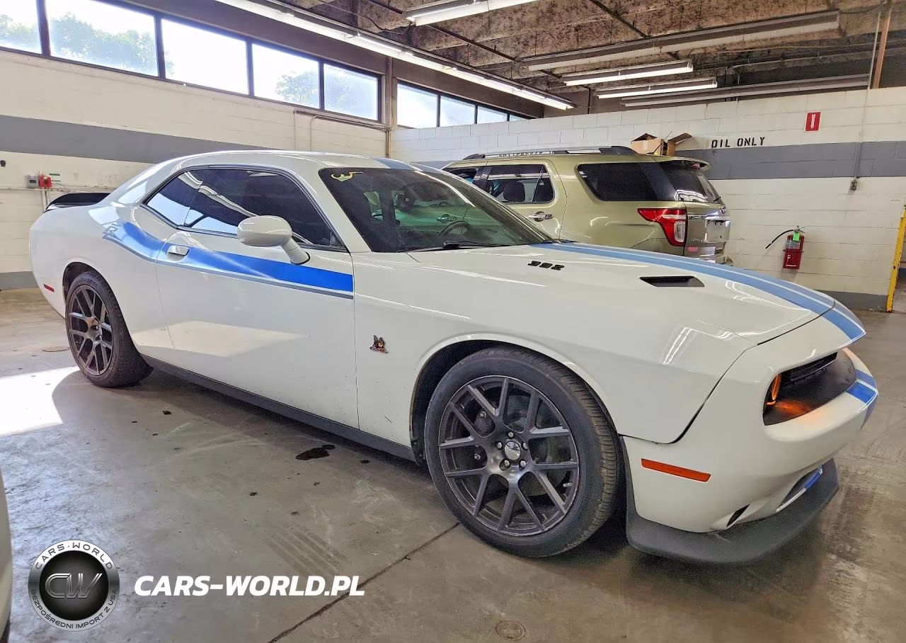 2016 Dodge Challenger R VIN:2C3CDZFJ6GH234451 - 4