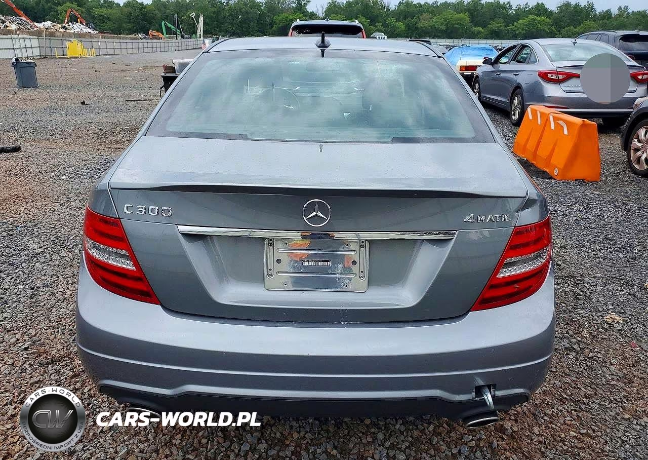 2014 Mercedes-Benz C 300 4Matic VIN:WDDGF8AB0ER319323 - 6
