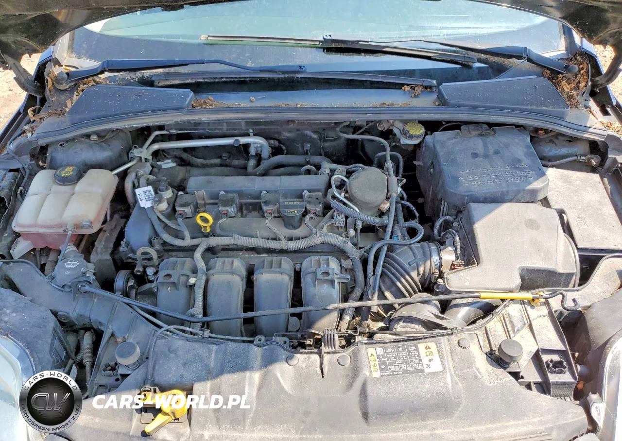 2014 Ford Focus Se VIN:1FADP3F26EL347027 - 11