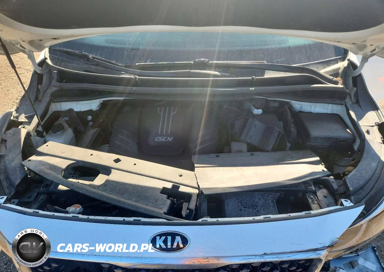 2016 Kia Sedona Sx VIN:KNDMC5C18G6155753 - 12