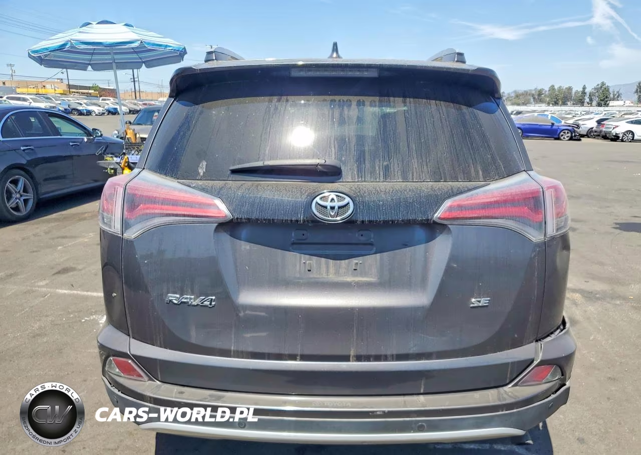 2016 Toyota Rav4 Se VIN:2T3NFREV4GW302233 - 6
