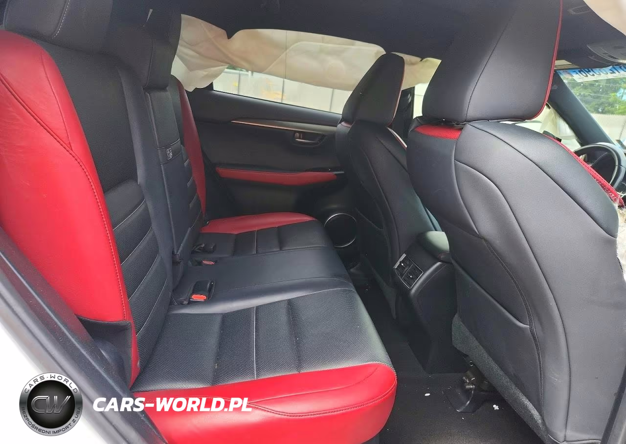 2019 Lexus Nx 300 F Sport VIN:JTJYARBZXK2145311 - 11