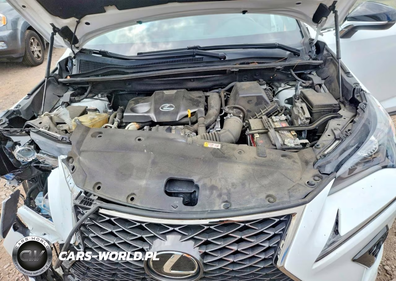 2019 Lexus Nx 300 F Sport VIN:JTJYARBZXK2145311 - 12