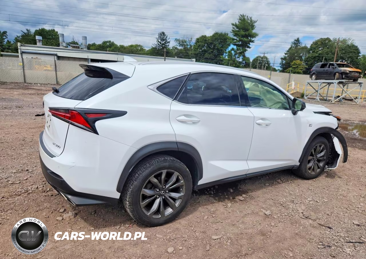 2019 Lexus Nx 300 F Sport VIN:JTJYARBZXK2145311 - 3