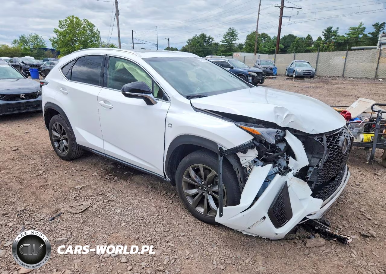 2019 Lexus Nx 300 F Sport VIN:JTJYARBZXK2145311 - 4