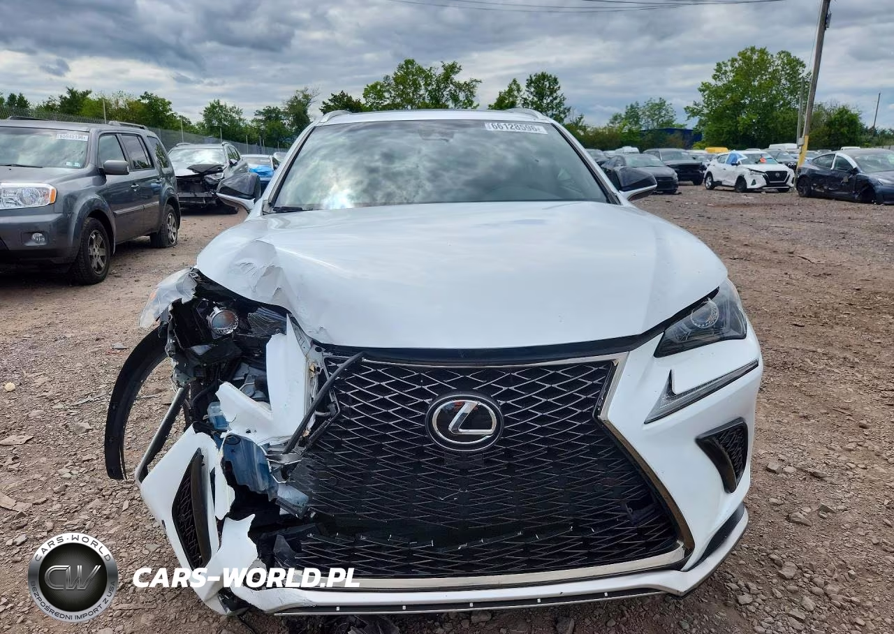 2019 Lexus Nx 300 F Sport VIN:JTJYARBZXK2145311 - 5