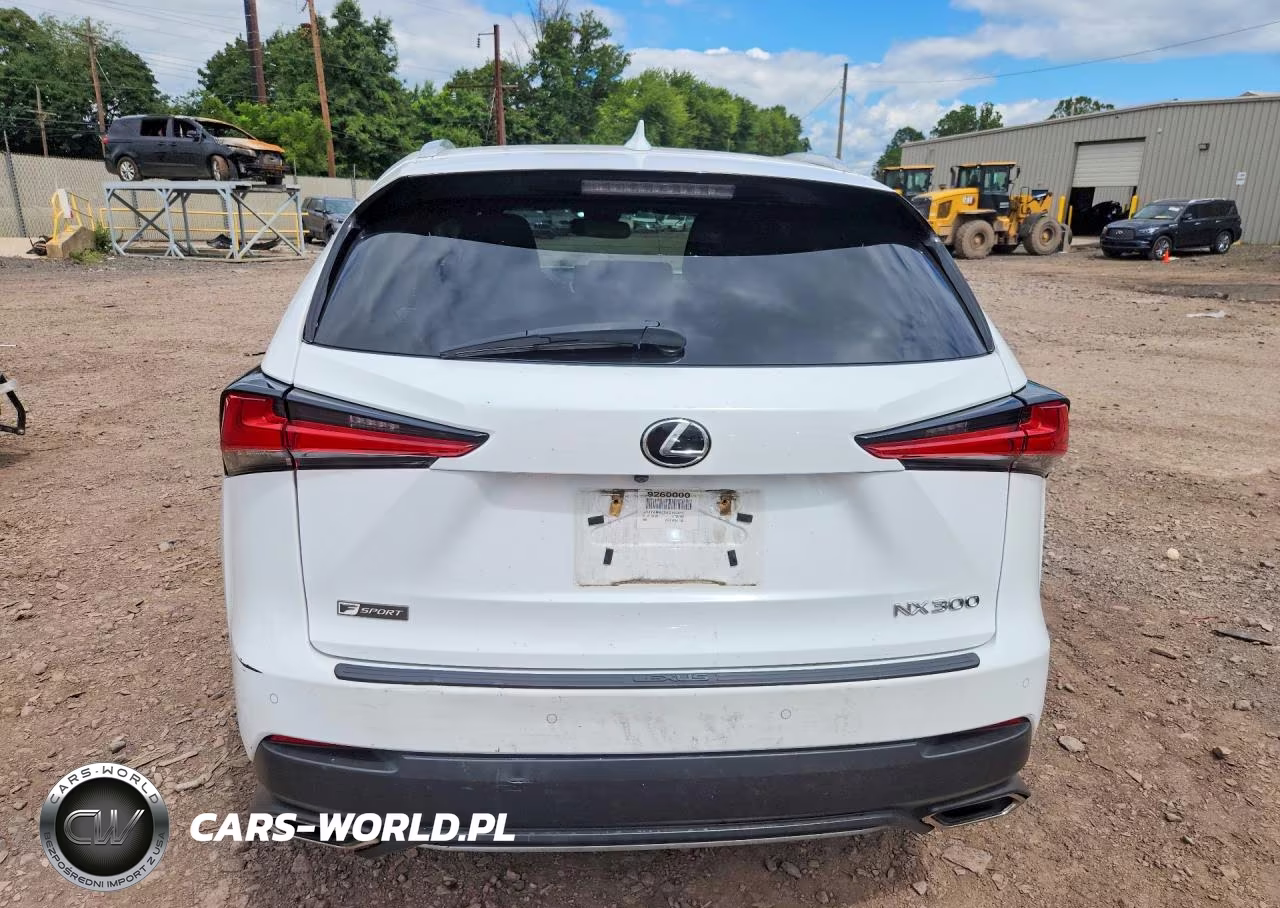 2019 Lexus Nx 300 F Sport VIN:JTJYARBZXK2145311 - 6