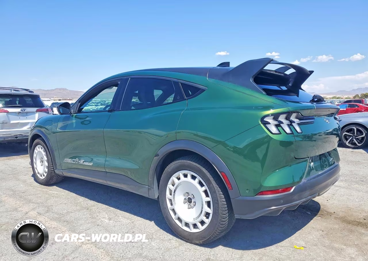 2024 Ford Mustang Mach-E Gt VIN:3FMTK4SXXRMA24305 - 2