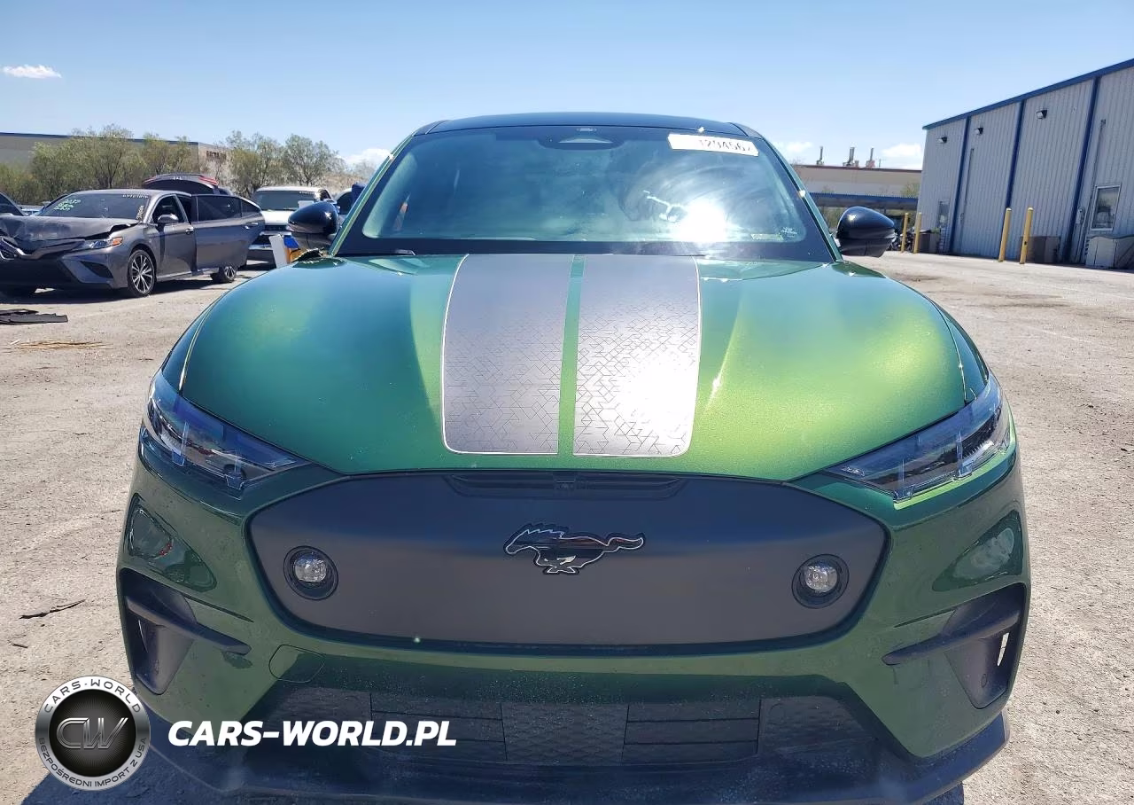 2024 Ford Mustang Mach-E Gt VIN:3FMTK4SXXRMA24305 - 5