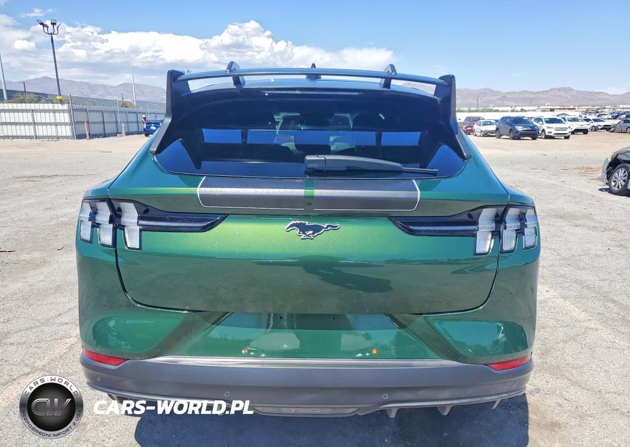 2024 Ford Mustang Mach-E Gt VIN:3FMTK4SXXRMA24305 - 6