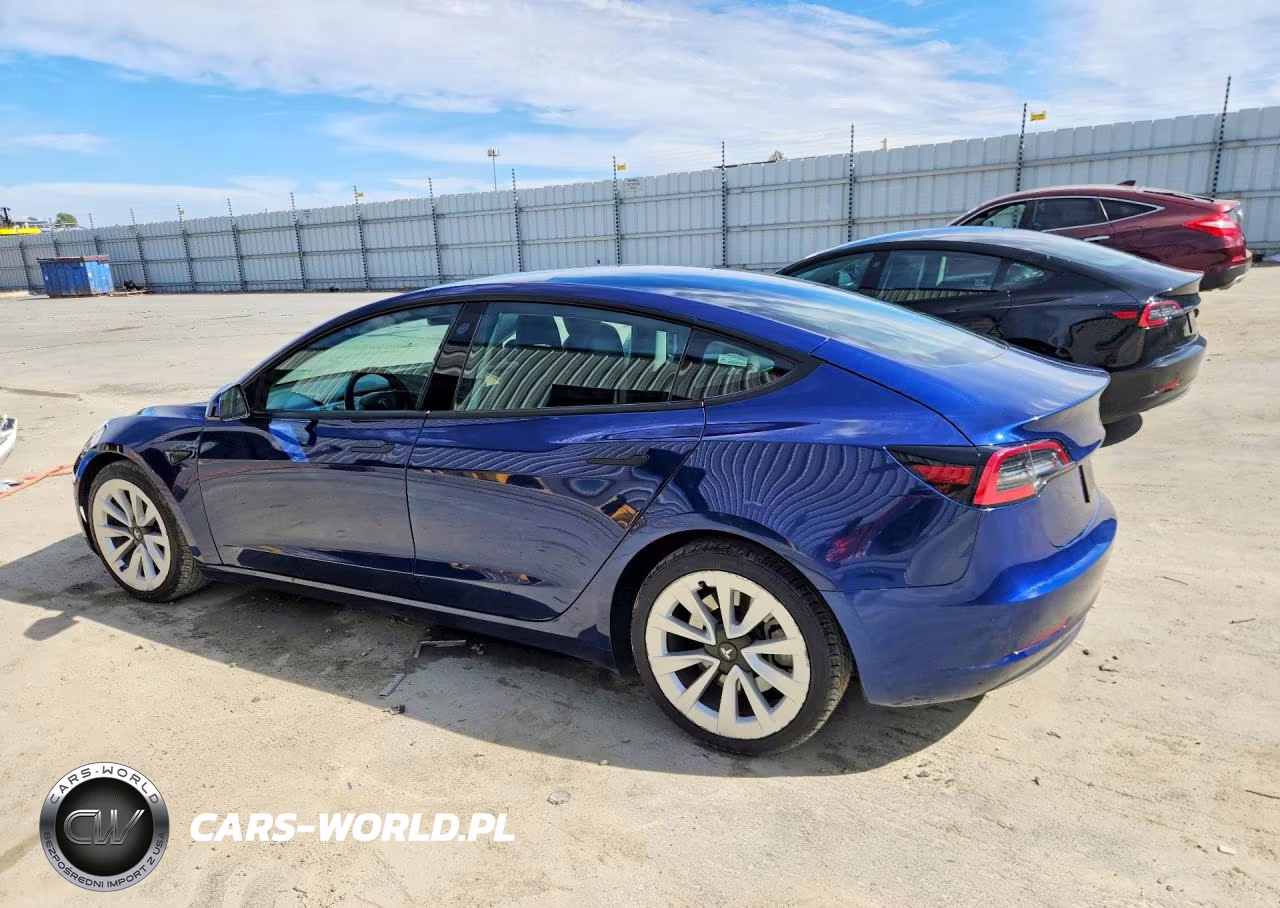 2023 Tesla Model 3 VIN:5YJ3E1EA6PF449961 - 2